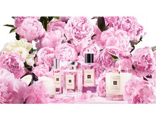 Jo Malone Peony Blush Suede